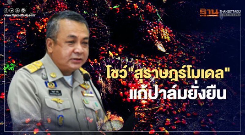 โชว์"สุราษฎร์โมเดล"แก้ปาล์มยั่งยืน โชว์"สุราษฎร์โมเดล"แก้ปาล์มยั่งยืน