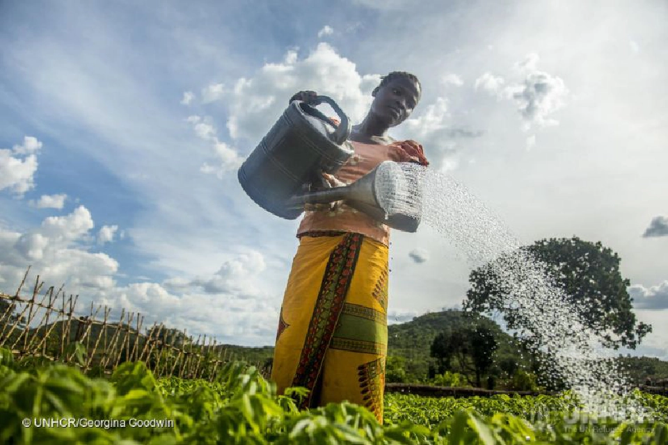 UNHCR รายงานตัวเลขผู้ลี้ภัยปี 2562 พุ่งสูง 79.5 ล้านคน