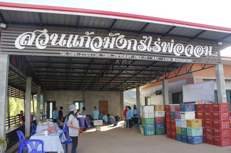 ดันแปรรูปสร้างมูลค่าเพิ่มแก้วมังกร"แปลงใหญ่ภูเรือ"