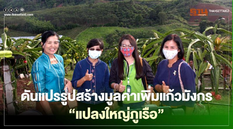 ดันแปรรูปสร้างมูลค่าเพิ่มแก้วมังกร"แปลงใหญ่ภูเรือ" ดันแปรรูปสร้างมูลค่าเพิ่มแก้วมังกร"แปลงใหญ่ภูเรือ"