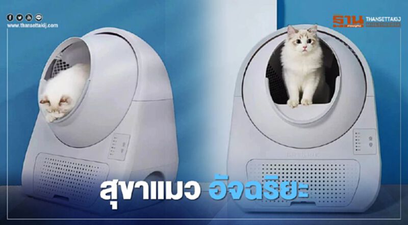 “Xiaomi” มีทุกอย่าง เปิดตัว "สุขาแมวอัจฉริยะ" (คลิป) “Xiaomi” มีทุกอย่าง เปิดตัว "สุขาแมวอัจฉริยะ" (คลิป)