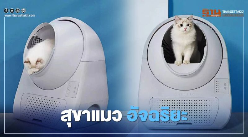 “Xiaomi” มีทุกอย่าง เปิดตัว "สุขาแมวอัจฉริยะ" (คลิป) “Xiaomi” มีทุกอย่าง เปิดตัว "สุขาแมวอัจฉริยะ" (คลิป)