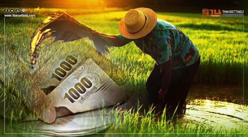 “เยียวยาเกษตรกร” กลุ่มตกค้าง ตรวจสอบสิทธ์ เช็กสถานะ อย่างไรให้ได้เงิน 