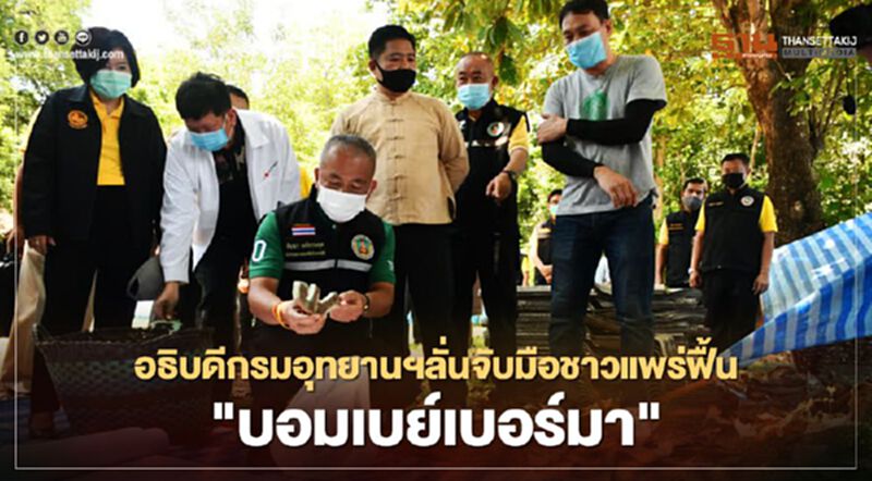 อธิบดีกรมอุทยานฯลั่นจับมือชาวแพร่ฟื้น"บอมเบย์เบอร์มา" อธิบดีกรมอุทยานฯลั่นจับมือชาวแพร่ฟื้น"บอมเบย์เบอร์มา"
