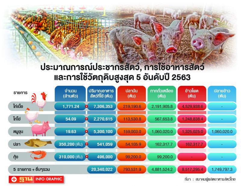 ศึกอาหารสัตว์เดือด ‘หมู-กุ้ง-ไก่ไข่’หนุน ประมงค้านลดภาษี