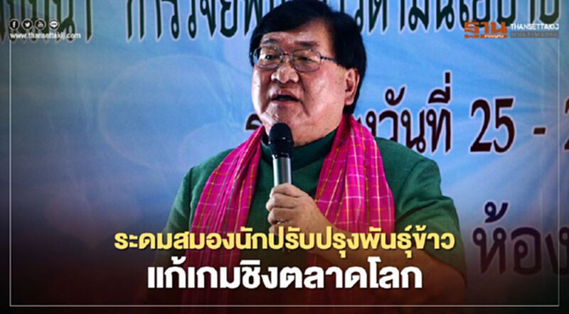 ระดมสมองนักปรับปรุงพันธุ์ข้าวแก้เกมชิงตลาดโลก ระดมสมองนักปรับปรุงพันธุ์ข้าวแก้เกมชิงตลาดโลก