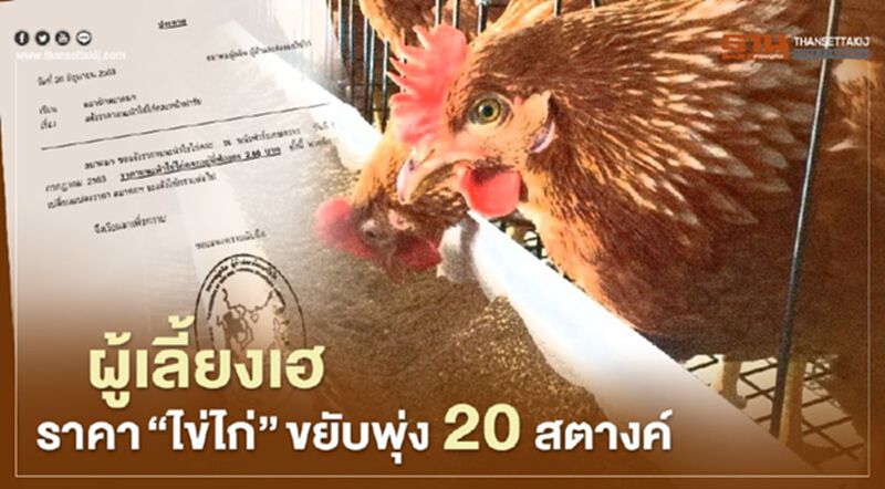 ผู้เลี้ยงเฮ ราคา “ไข่ไก่” ขยับพุ่ง 20 สตางค์ ผู้เลี้ยงเฮ ราคา “ไข่ไก่” ขยับพุ่ง 20 สตางค์