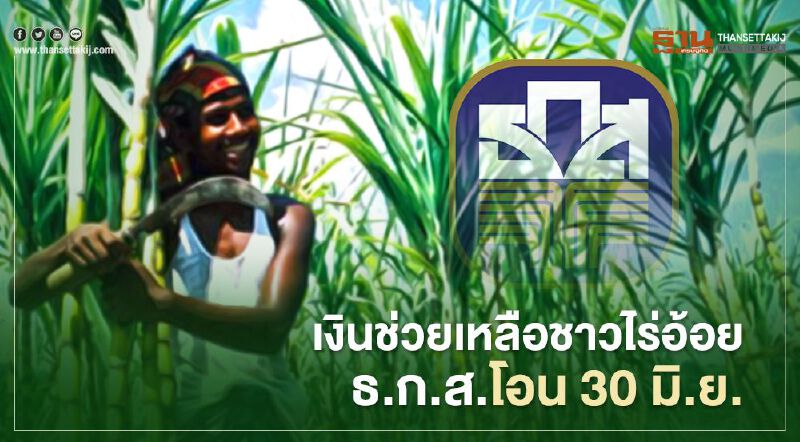 เช็กเลย เงินช่วยเหลือชาวไร่อ้อย ธกส.โอน 30 มิ.ย.