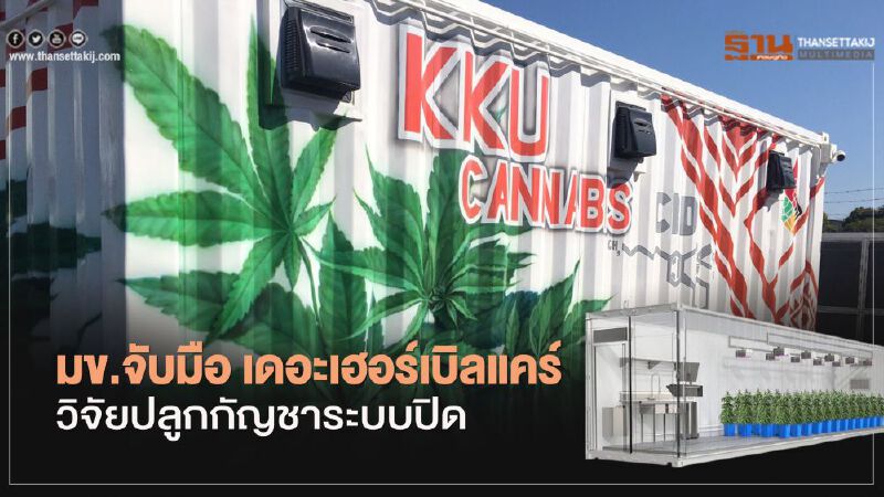 จับมือวิจัยปลูกกัญชาระบบปิดในตู้คอนเทนเนอร์ 