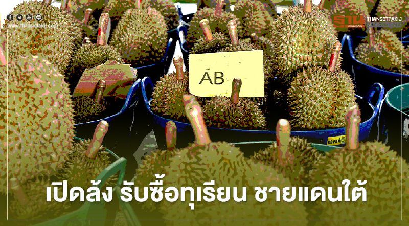 เปิดล้ง รับซื้อทุเรียนคุณภาพ เสริมเศรษฐกิจชายแดนใต้