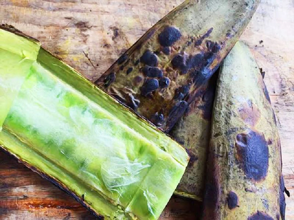 บ่าลิดไม้_ฝักเพกาเผา