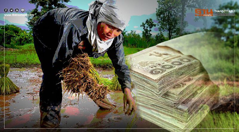 "www.เยียวยาเกษตกร.com" เร่งโอนเงินเพิ่ม 325 ล้าน ใครได้สิทธิ์เช็กเลย