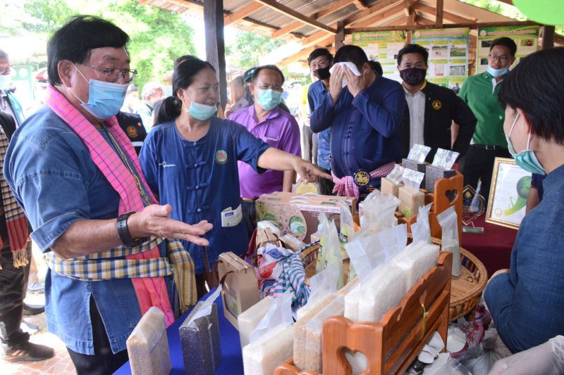 เร่งผลิตเมล็ดพันธุ์ข้าว 2 แสนตัน/ปี รองรับปัญหาฝนทิ้งช่วง