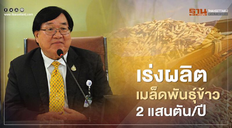 เร่งผลิตเมล็ดพันธุ์ข้าว 2 แสนตัน/ปี รองรับปัญหาฝนทิ้งช่วง เร่งผลิตเมล็ดพันธุ์ข้าว 2 แสนตัน/ปี รองรับปัญหาฝนทิ้งช่วง
