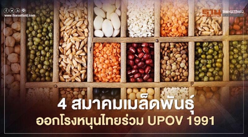 4 สมาคมเมล็ดพันธุ์ออกโรง หนุนไทยร่วม UPOV 1991 4 สมาคมเมล็ดพันธุ์ออกโรง หนุนไทยร่วม UPOV 1991