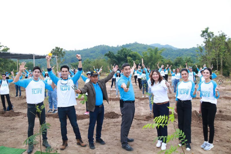 7 สีชู CSR จับมือกรมป่าไม้ ปลุกสำนึกรักผืนป่า