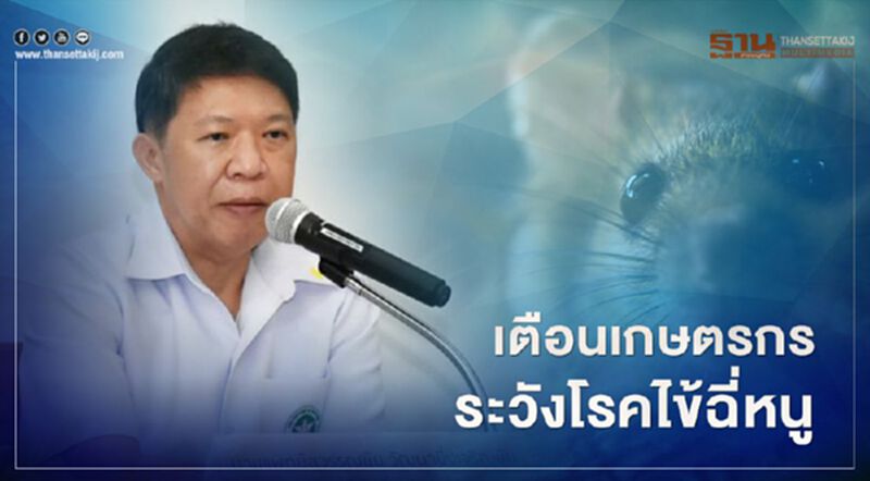 กรมควบคุมโรค เตือนเกษตรกร ระวังโรคไข้ฉี่หนู ปีนี้เสียชีวิตแล้ว 6 ราย กรมควบคุมโรค เตือนเกษตรกร ระวังโรคไข้ฉี่หนู ปีนี้เสียชีวิตแล้ว 6 ราย