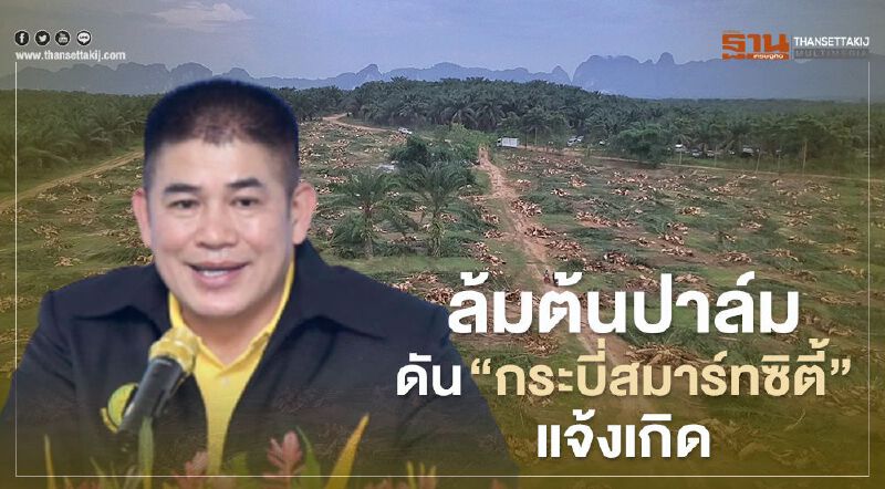 ล้มต้นปาล์ม ดัน “กระบี่สมาร์ทซิตี้”แจ้งเกิด