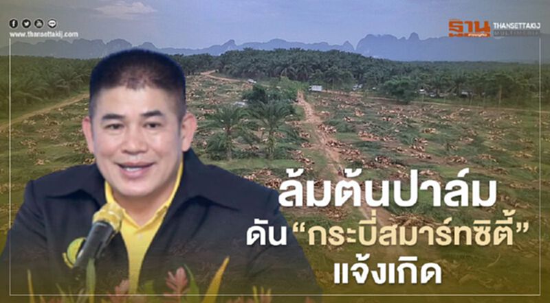 ล้มต้นปาล์ม ดัน “กระบี่สมาร์ทซิตี้”แจ้งเกิด ล้มต้นปาล์ม ดัน “กระบี่สมาร์ทซิตี้”แจ้งเกิด