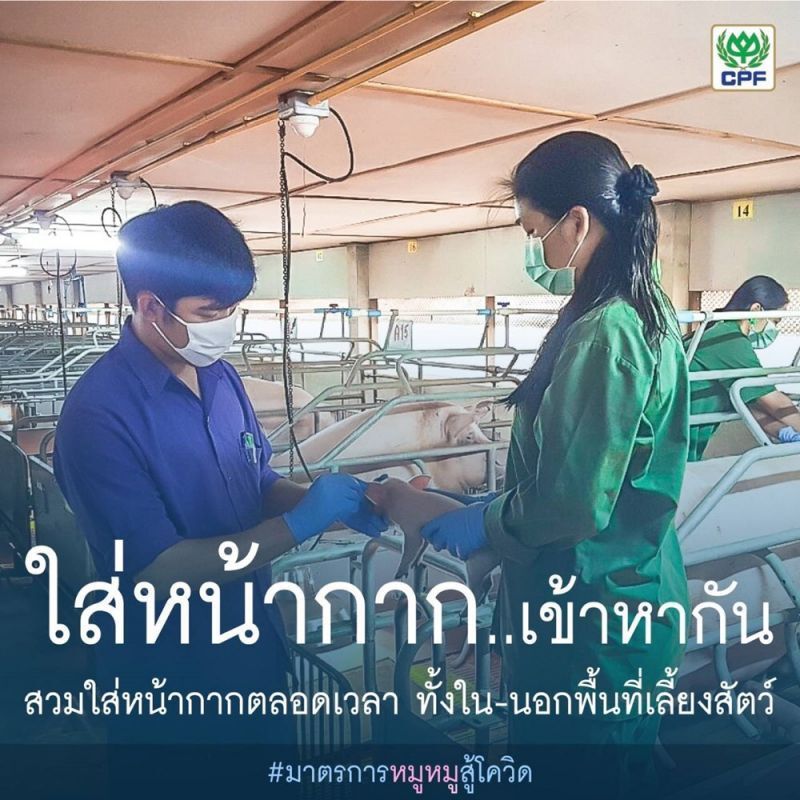 ซีพีเอฟยันไม่ปลดล็อก สั่งคุมเข้ม ASF-โควิดฟาร์มหมูทั่วปท.