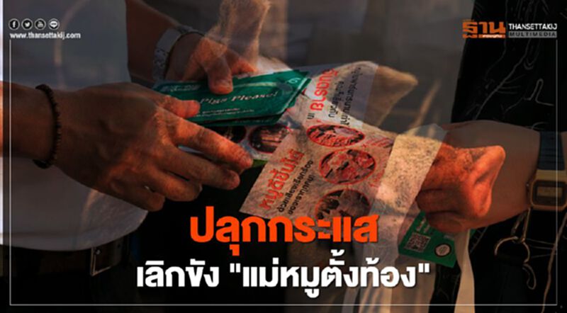 เลิกขัง "แม่หมูตั้งท้อง" องค์กรพิทักษ์สัตว์แห่งโลก ปลุกกระแสสังคม เลิกขัง "แม่หมูตั้งท้อง" องค์กรพิทักษ์สัตว์แห่งโลก ปลุกกระแสสังคม