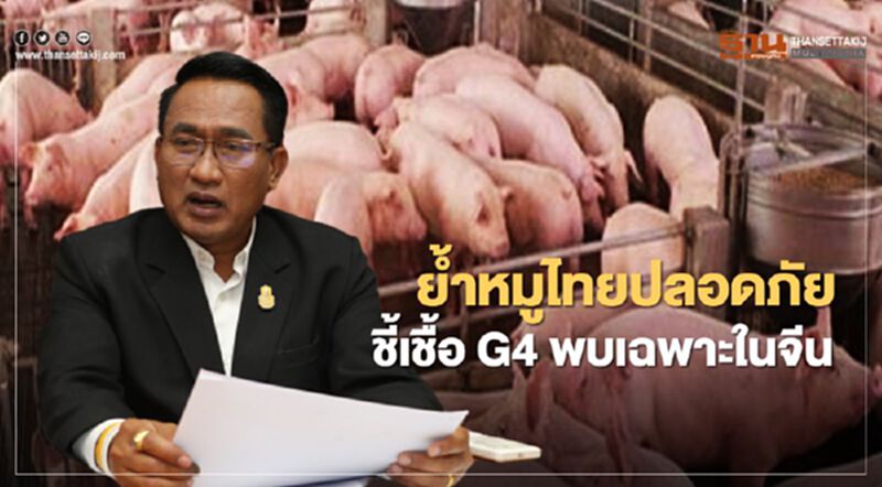 ปศุสัตว์ย้ำหมูไทยปลอดภัย ชี้เชื้อ G4 พบเฉพาะในจีน ปศุสัตว์ย้ำหมูไทยปลอดภัย ชี้เชื้อ G4 พบเฉพาะในจีน