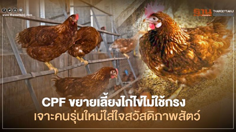 CPF ขยายเลี้ยงไก่ไข่ไม่ใช้กรง เจาะคนรุ่นใหม่ใส่ใจสวัสดิภาพสัตว์ CPF ขยายเลี้ยงไก่ไข่ไม่ใช้กรง เจาะคนรุ่นใหม่ใส่ใจสวัสดิภาพสัตว์