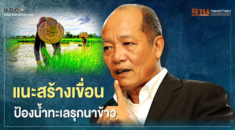 แนะสร้างเขื่อนป้องน้ำทะเลรุกนาข้าว แนะสร้างเขื่อนป้องน้ำทะเลรุกนาข้าว
