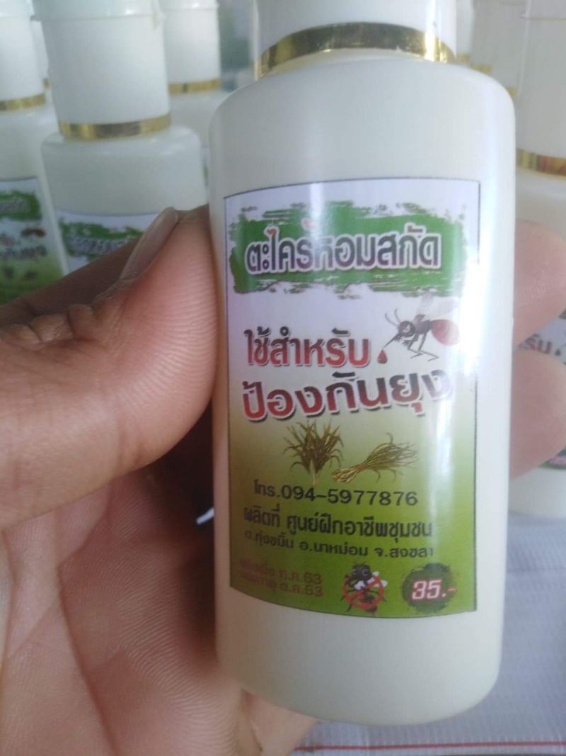 “เยียวยาเกษตรกร” แผลงฤทธิ์ผลิตตะไคร้หอม​ป้องกัน​ยุง