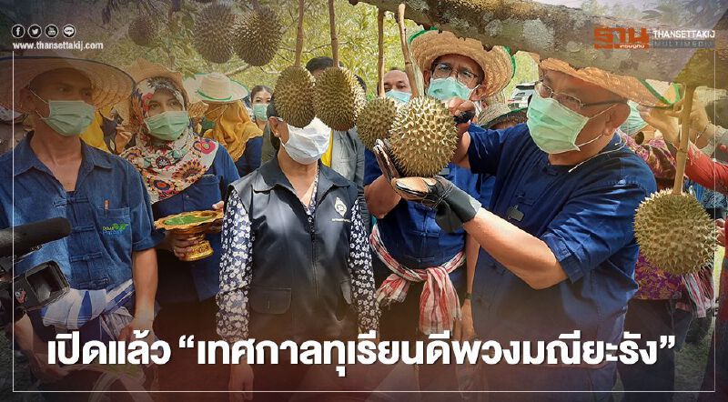 เปิดแล้ว"เทศกาลทุเรียนดีพวงมณียะรัง"