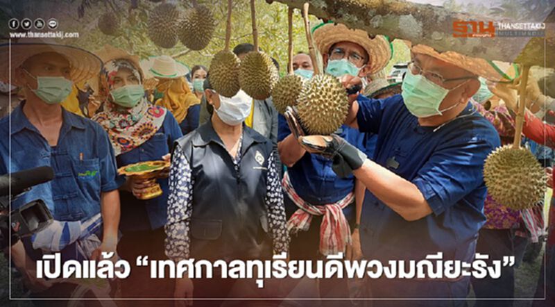 เปิดแล้ว"เทศกาลทุเรียนดีพวงมณียะรัง" เปิดแล้ว"เทศกาลทุเรียนดีพวงมณียะรัง"