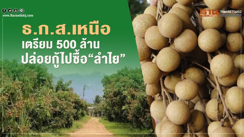  ธ.ก.ส.เหนือเตรียม500ล้านปล่อยกู้ไปซื้อ"ลำไย"