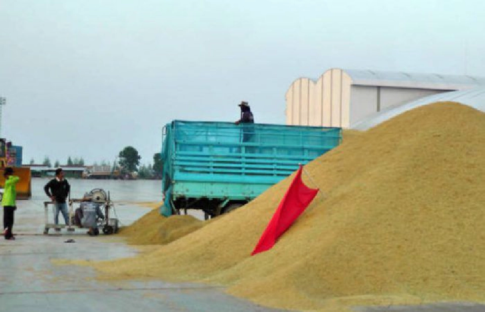 ผวาลักลอบนำเข้าข้าวสวมกรอบอาฟต้า