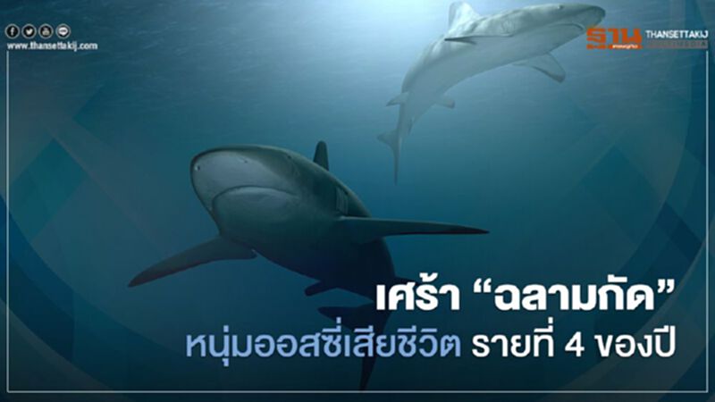 เศร้า "ฉลามกัด"หนุ่มออสซี่เสียชีวิตรายที่ 4 ของปี เศร้า "ฉลามกัด"หนุ่มออสซี่เสียชีวิตรายที่ 4 ของปี