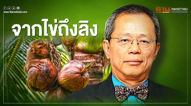 จากไข่ถึงลิง