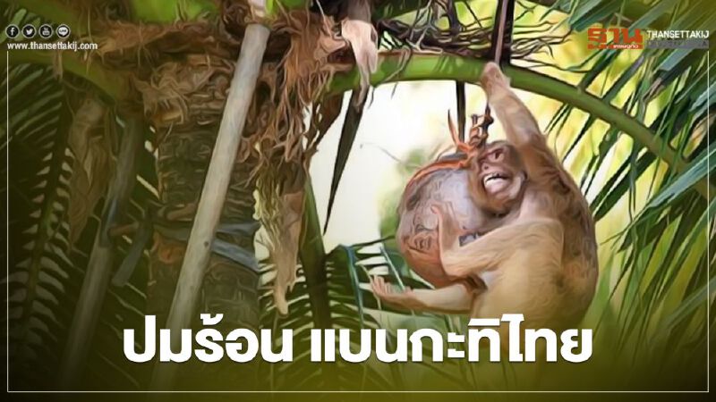 ถอดรหัส อังกฤษ "แบนกะทิ-ผลิตภัณฑ์มะพร้าวไทย" 