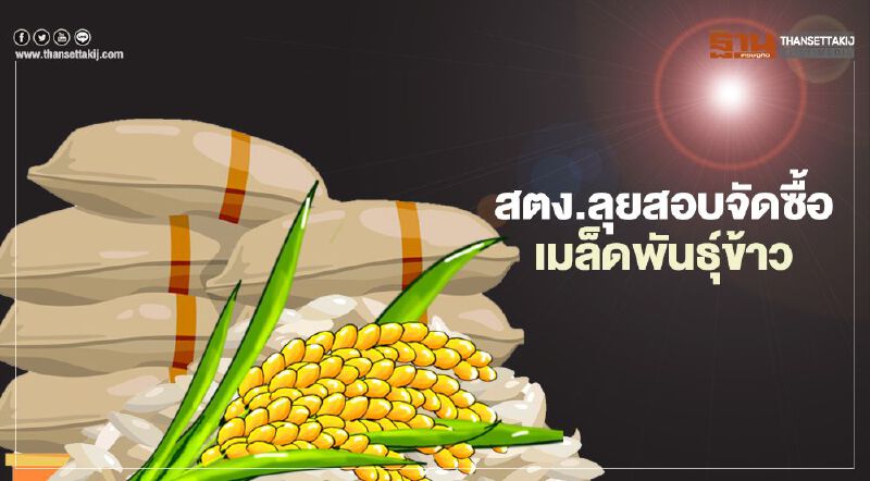 สตง.ลุยสอบจัดซื้อเมล็ดพันธุ์ข้าว  ส่อฮั้วประมูลงบกว่า400ล้าน