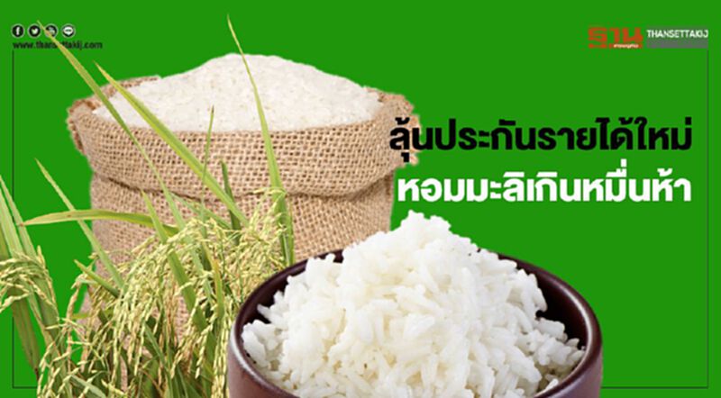 ลุ้นประกันรายได้ใหม่ หอมมะลิเกินหมื่นห้า ลุ้นประกันรายได้ใหม่ หอมมะลิเกินหมื่นห้า