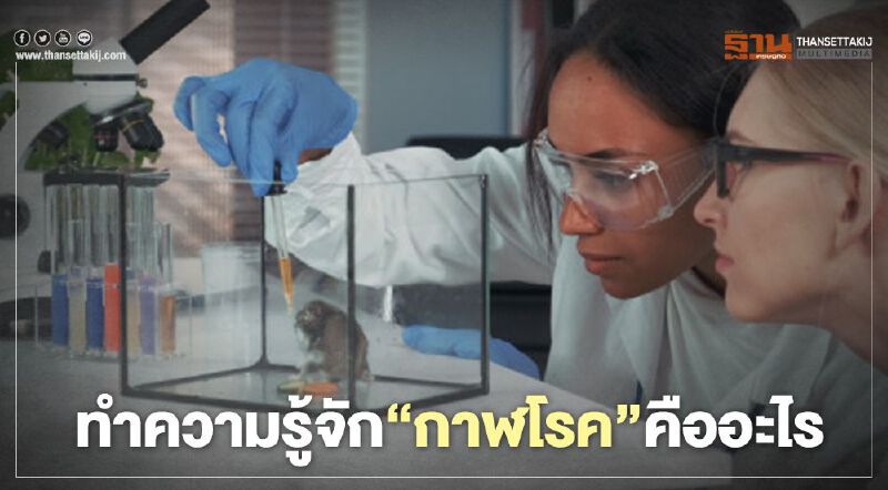 ทำความรู้จัก"กาฬโรค"คืออะไร เหตุไฉนถึงต้องผวาโรคระบาดนี้ 