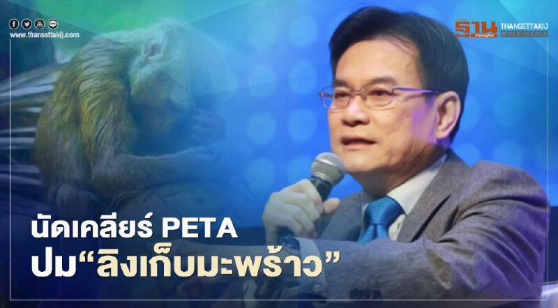 วันนี้ พณ.เชิญ "PETA" เคลียร์ปม "ลิงเก็บมะพร้าว" กระทบแบนกะทิ-มะพร้าวไทย