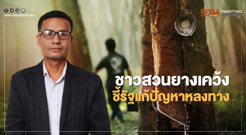 ชาวสวนยางเคว้ง ชี้รัฐแก้ปัญหาหลงทาง ชาวสวนยางเคว้ง ชี้รัฐแก้ปัญหาหลงทาง