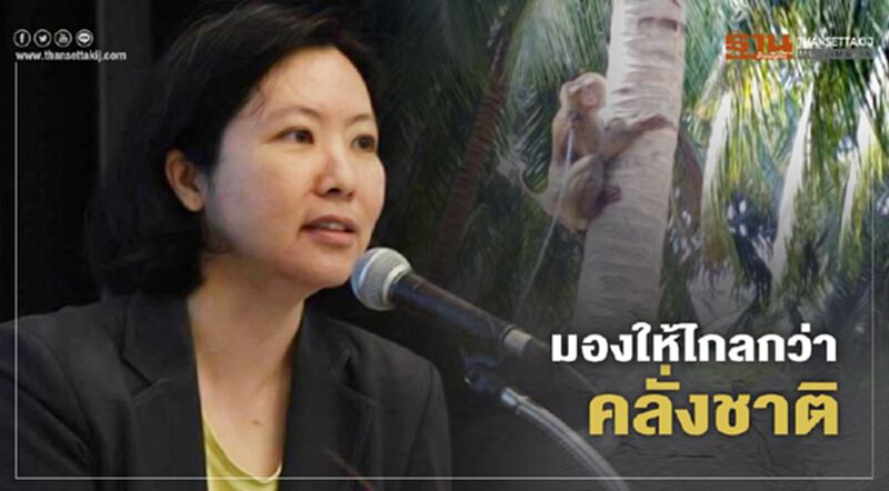 “ลิงเก็บมะพร้าว” มองให้ไกลกว่า คลั่งชาติ “ลิงเก็บมะพร้าว” มองให้ไกลกว่า คลั่งชาติ