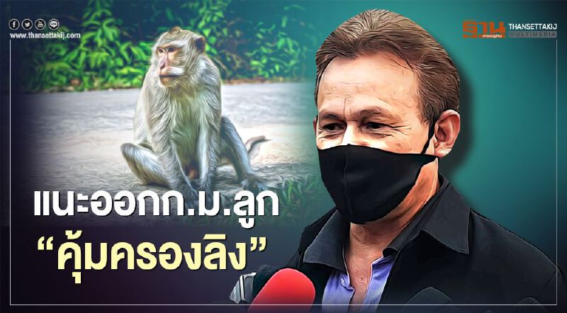แนะออกก.ม.ลูก  “คุ้มครองลิง”