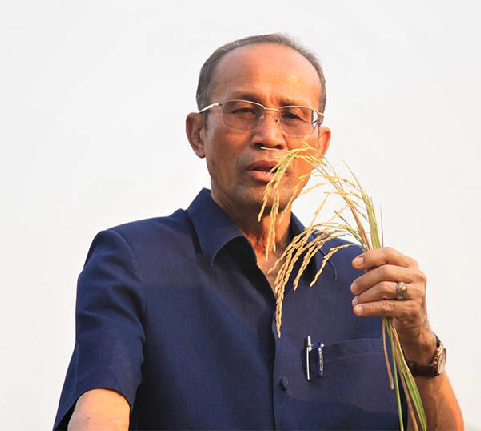 “กรมการข้าว”  เฟ้นหาสุดยอดข้าวไทยทวงแชมป์โลก