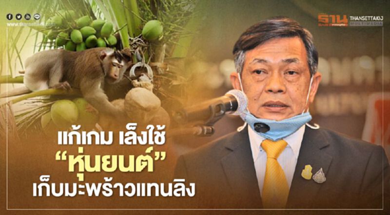 แก้เกมเล็งใช้ “หุ่นยนต์” เก็บมะพร้าวแทนลิง แก้เกมเล็งใช้ “หุ่นยนต์” เก็บมะพร้าวแทนลิง