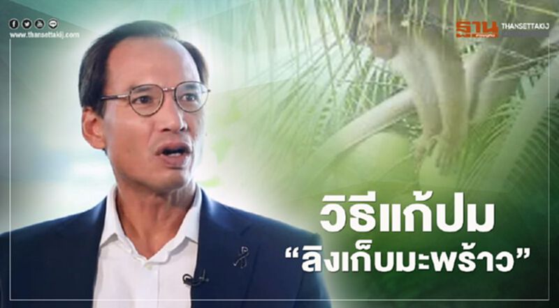 3 วิธีแก้ปม “ลิงเก็บมะพร้าว” ไม่กระทบการค้าระหว่างประเทศ 3 วิธีแก้ปม “ลิงเก็บมะพร้าว” ไม่กระทบการค้าระหว่างประเทศ