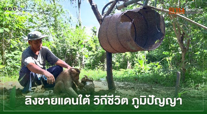 เปิดวิถีชีวิต "ลิงเก็บมะพร้าว ชายแดนใต้" ภูมิปัญญา ที่อยากบอกให้ก้องโลก