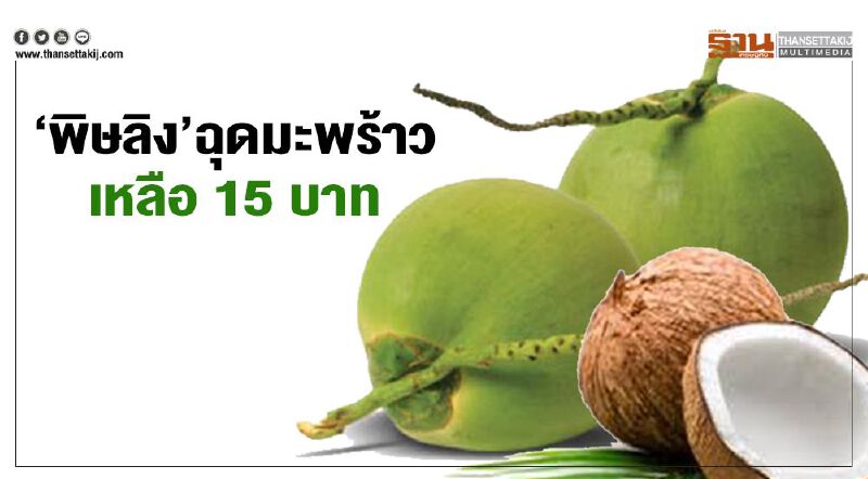 ‘พิษลิง’ฉุดมะพร้าวเหลือ15บาท  คู่ค้าอังกฤษชะลอส่งมอบ