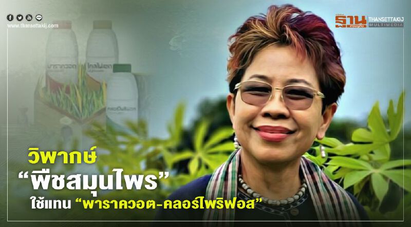 วิพากษ์ “พืชสมุนไพร”ใช้แทน“พาราควอต -คลอร์ไพริฟอส”