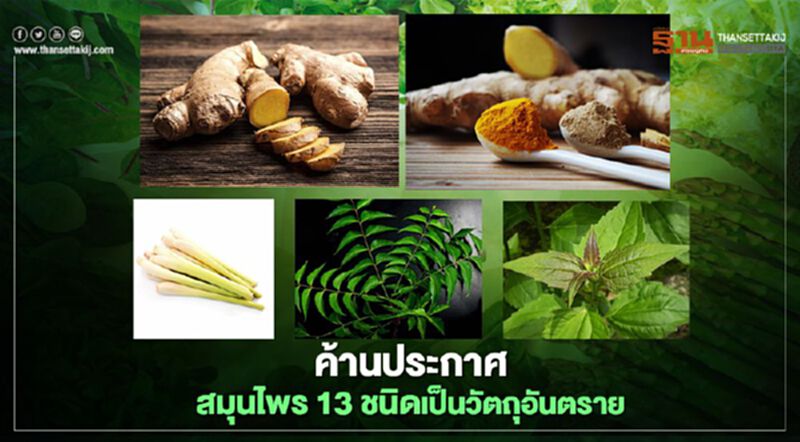ค้านประกาศสมุนไพร 13 ชนิด "สะเดา-ขมิ้นชัน-พริก" เป็นวัตถุอันตราย ค้านประกาศสมุนไพร 13 ชนิด "สะเดา-ขมิ้นชัน-พริก" เป็นวัตถุอันตราย